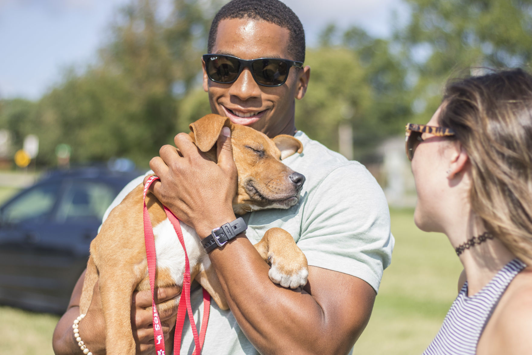 Home for Dogs Project